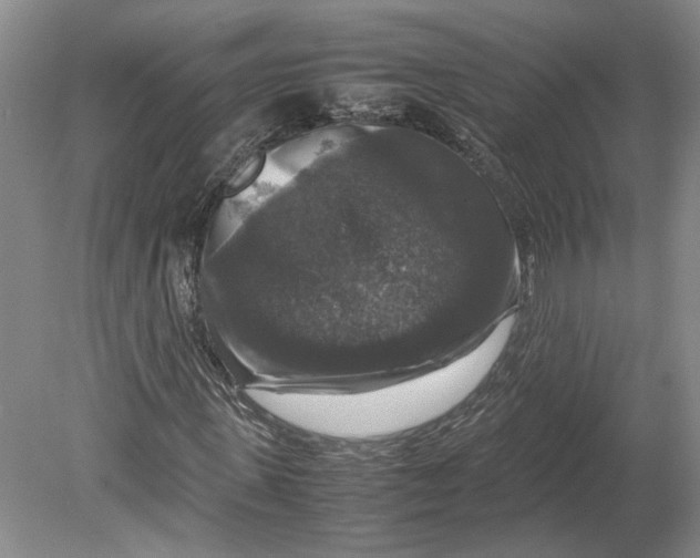 X0000080750915200701051206