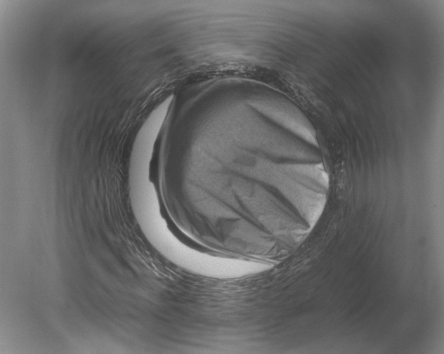 X0000080750916200701051206