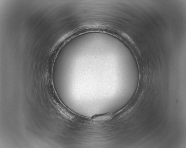 X0000080750922200701051206