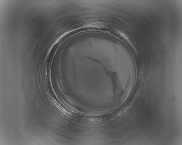 X0000080750923200701051206