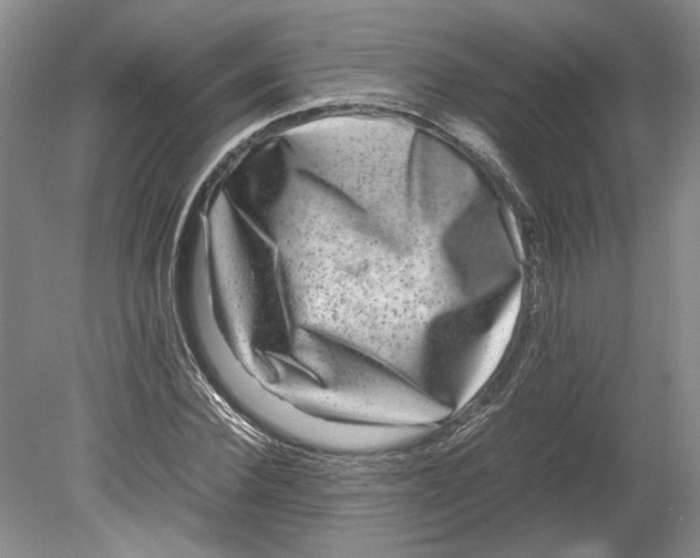 X0000080750924200701051206