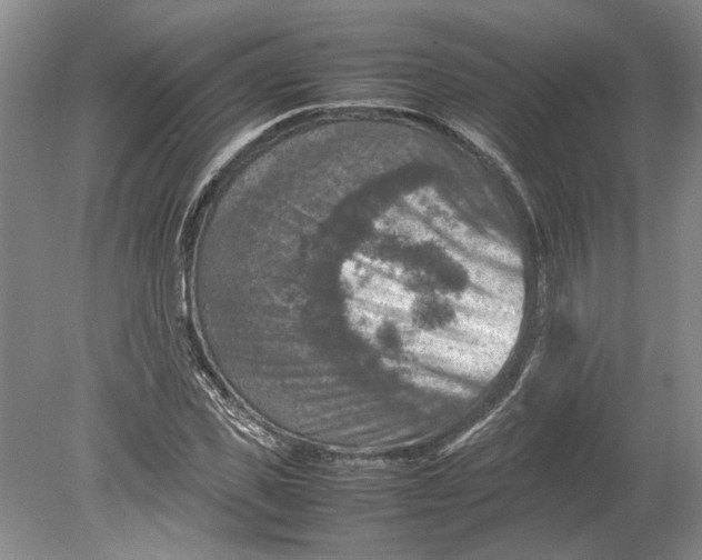 X0000080750925200701051206