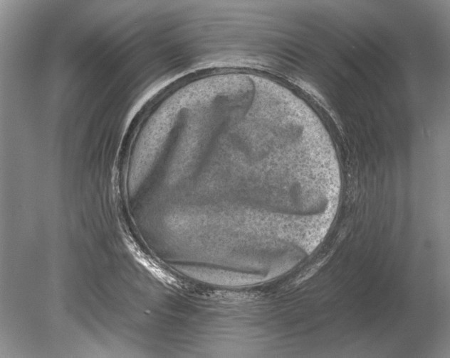 X0000080750928200701051206
