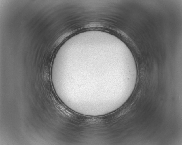 X0000080750929200701051206