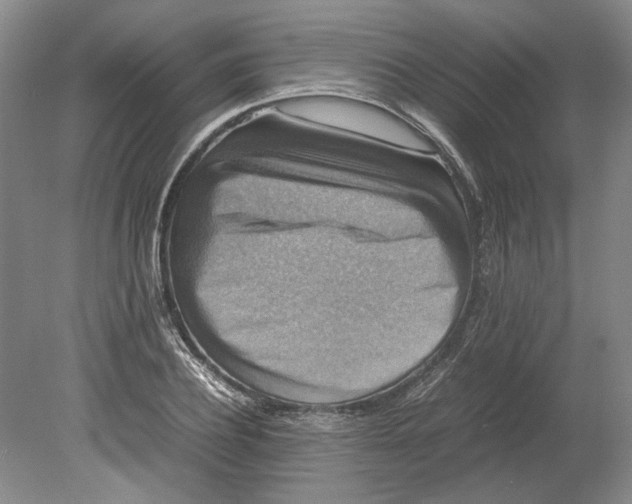 X0000080750932200701051206