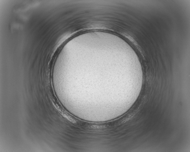X0000080750933200701051206