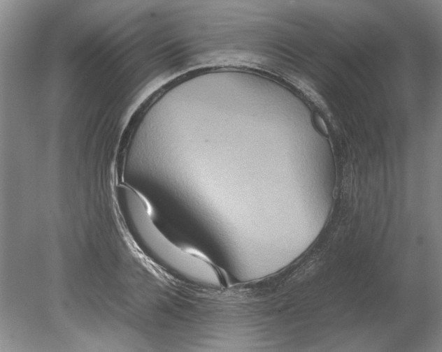 X0000080750936200701051207