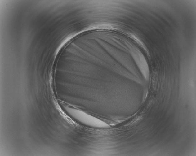 X0000080750944200701051207