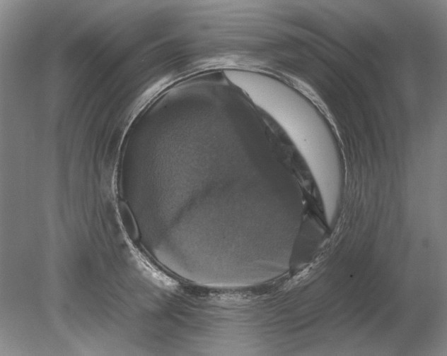 X0000080750946200701051207