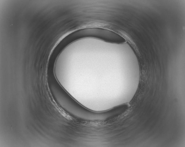 X0000080750948200701051207
