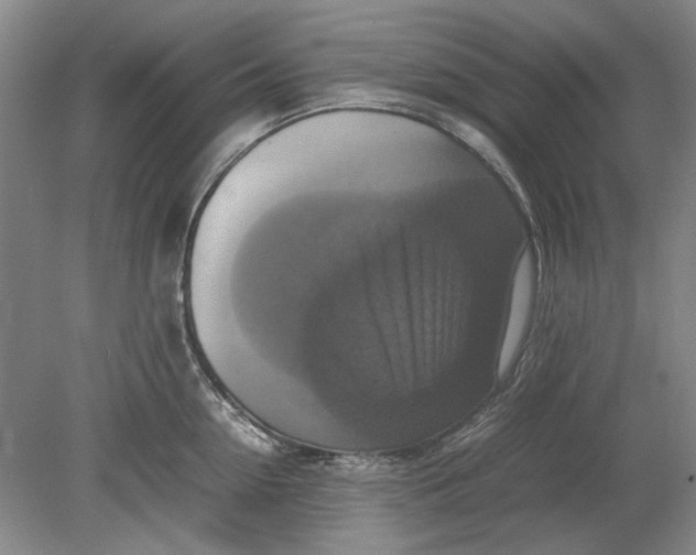 X0000080750954200701051207