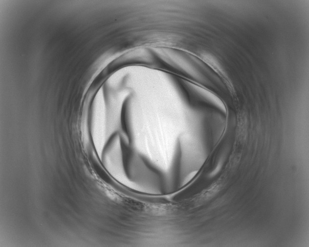 X0000080750956200701051207