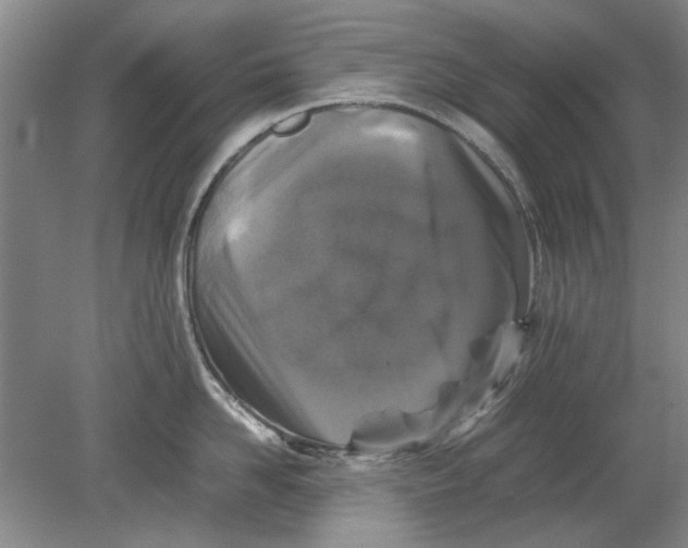 X0000080750958200701051207