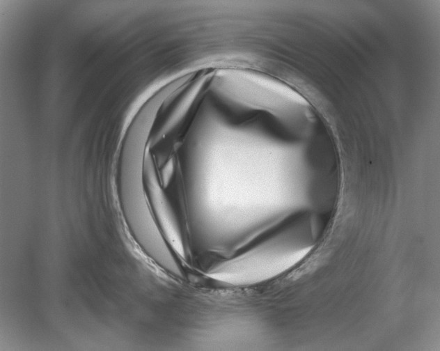 X0000080750960200701051207