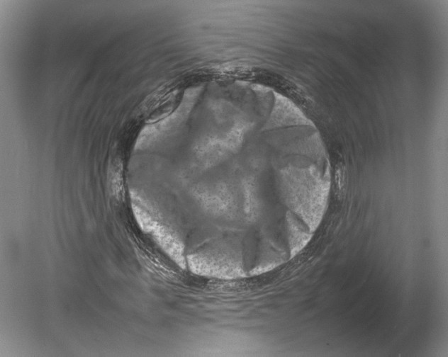X0000080750963200701051206