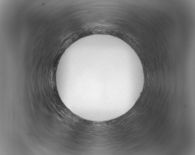X0000080750964200701051206