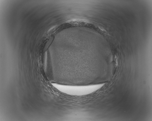 X0000080750965200701051206