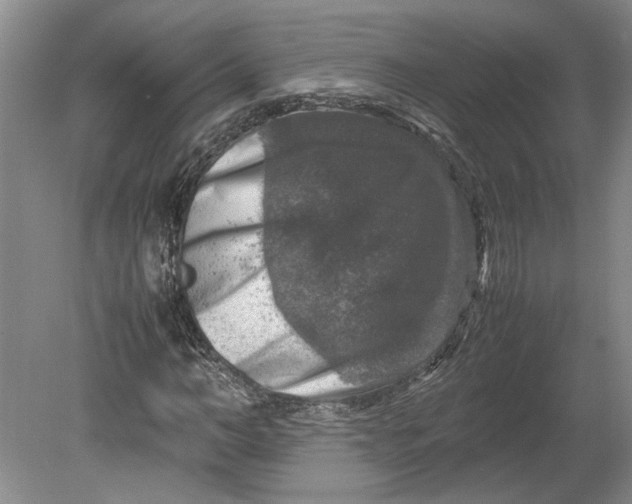 X0000080750966200701051206