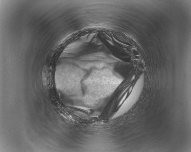 X0000080750968200701051206
