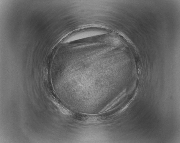X0000080750969200701051206