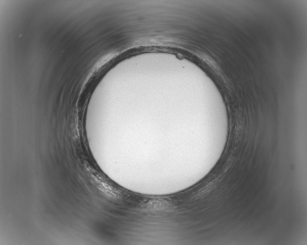 X0000080750974200701051206