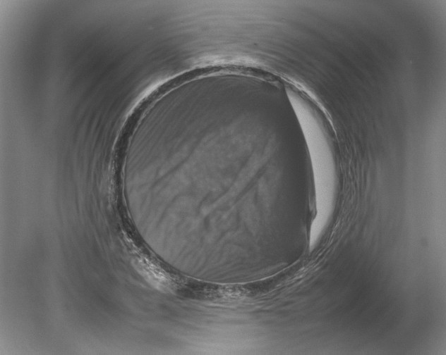 X0000080750975200701051206