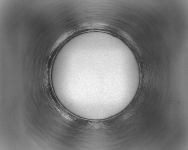 X0000080750978200701051206