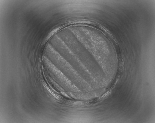 X0000080750985200701051206