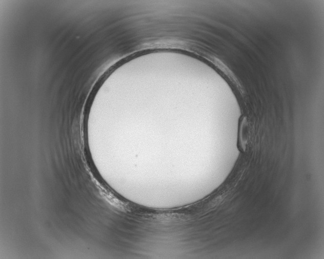 X0000080750988200701051206