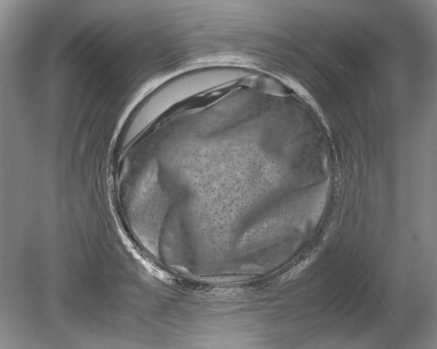 X0000080750989200701051206
