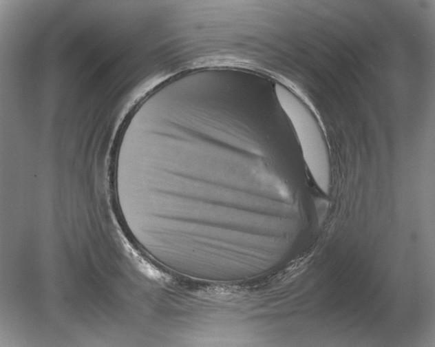 X0000080750995200701051206