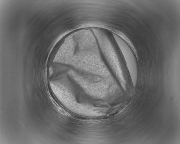 X0000080750996200701051206