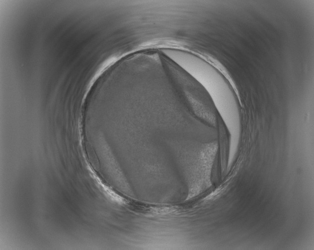 X0000080750997200701051206