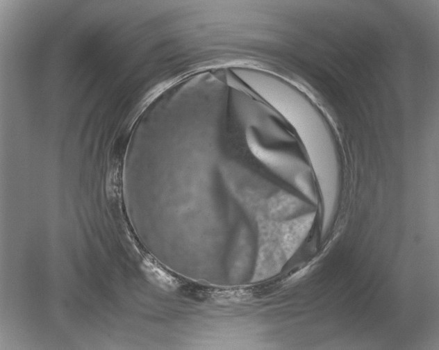 X0000080751001200701051205