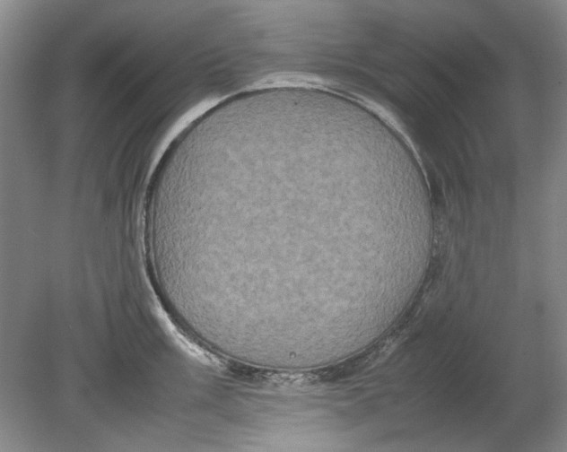 X0000080751003200701051205