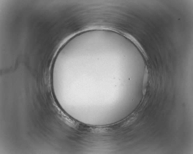 X0000080751004200701051205