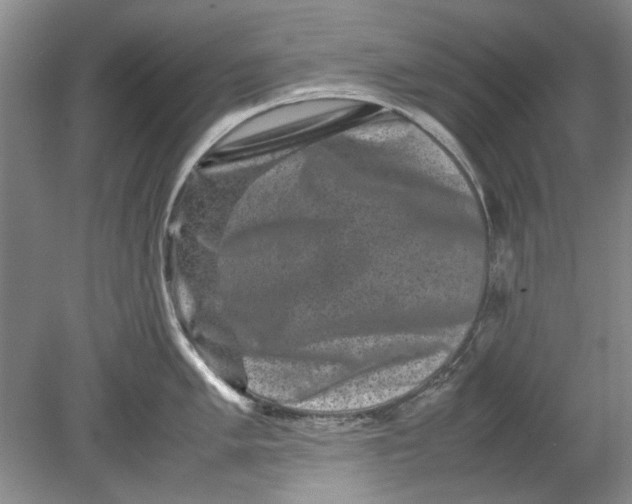 X0000080751005200701051205
