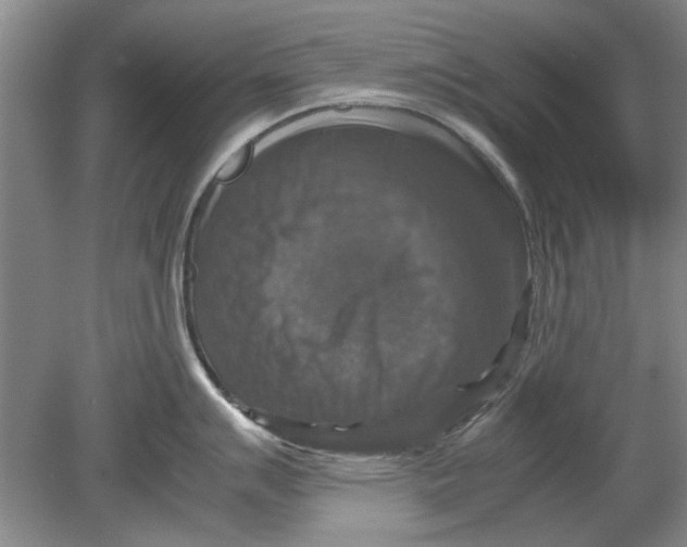 X0000080751007200701051205