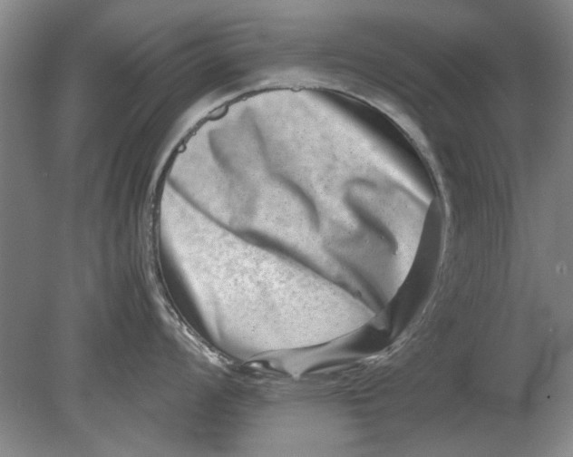 X0000080751008200701051205