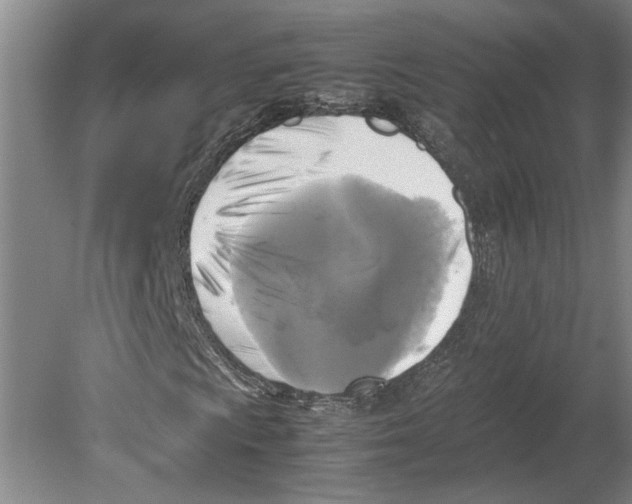 X0000080751009200701051205