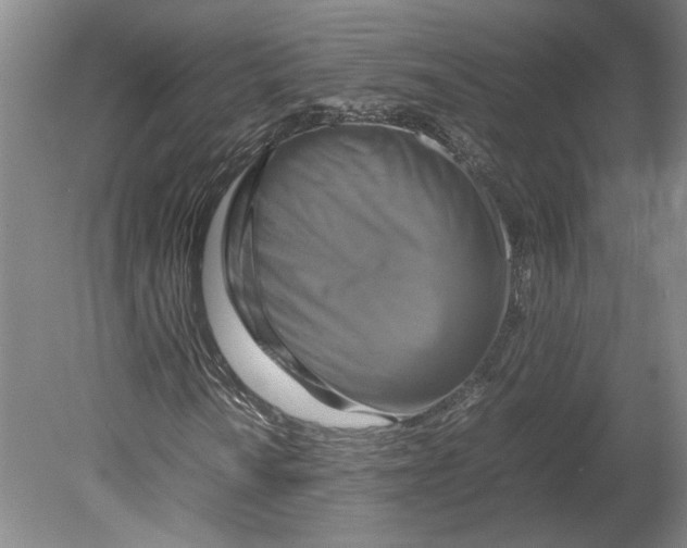 X0000080751010200701051205