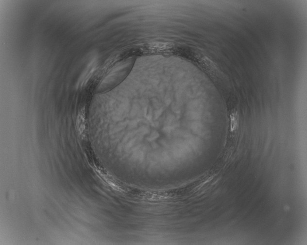 X0000080751011200701051205