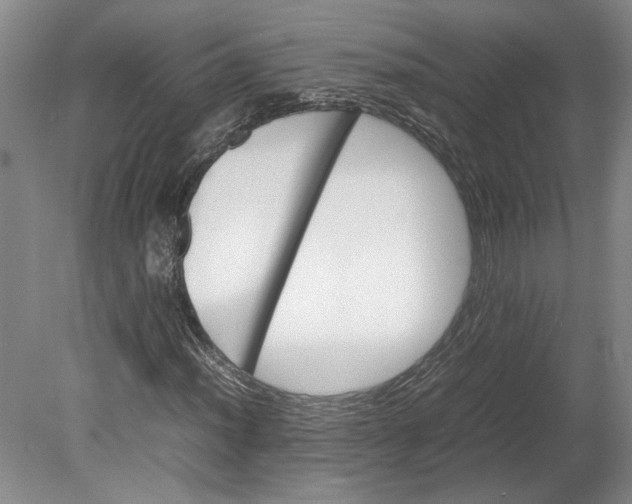 X0000080751012200701051205