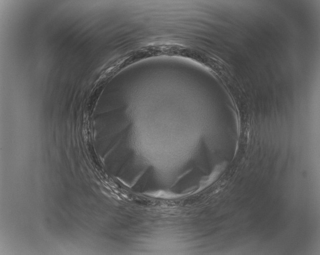 X0000080751014200701051205