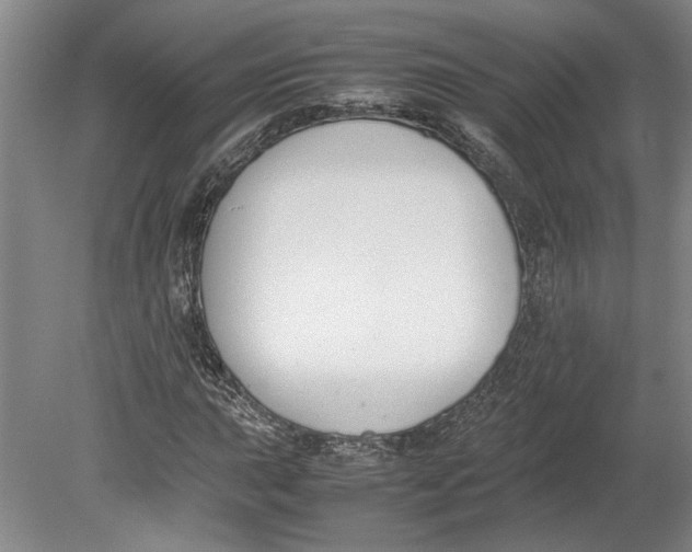 X0000080751015200701051205