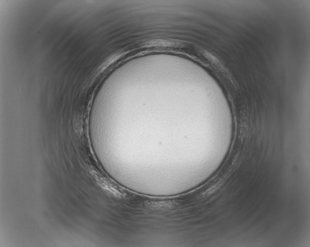X0000080751017200701051205
