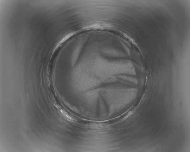 X0000080751018200701051205