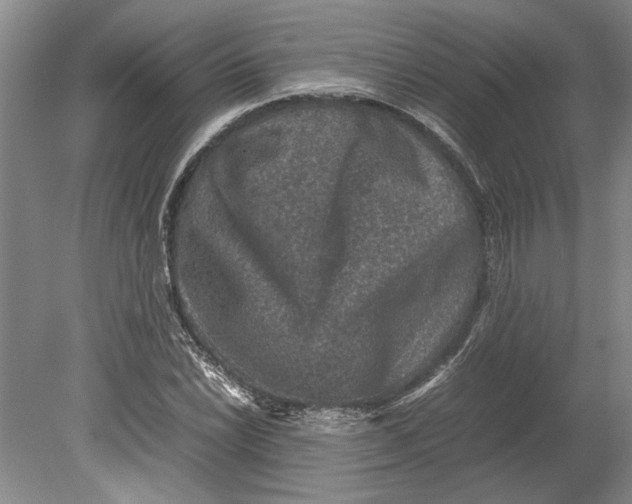 X0000080751022200701051205