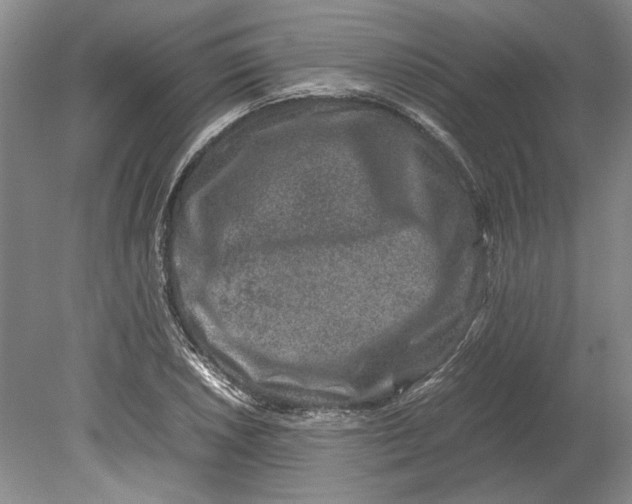 X0000080751026200701051205
