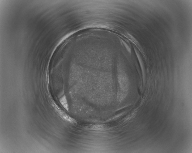 X0000080751028200701051205